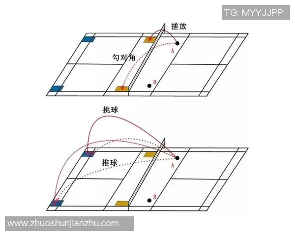 南京羽毛球队防反体系解析与战术运用研究