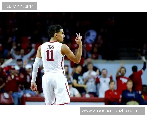 特雷杨的篮球之路：从新秀到全明星的辉煌历程与未来展望