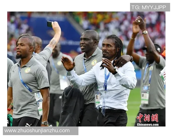 波兰与塞内加尔比赛水位分析及投注建议探讨